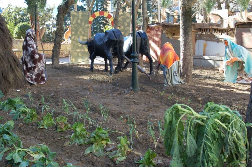 belen-san-lorenzo-de-el-escorial-alquiler-coche-en-madrid